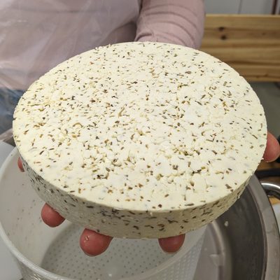 Runder, selbst hergestellter Käse aus der Hofkäserei von Hofgut Pulsitz